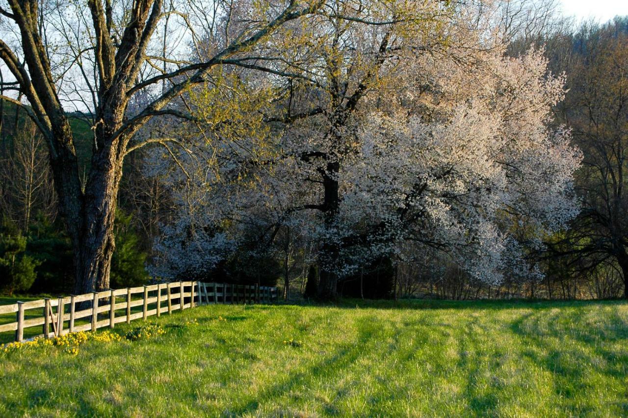 Villa Walnut Run Farm Woodville Exterior foto