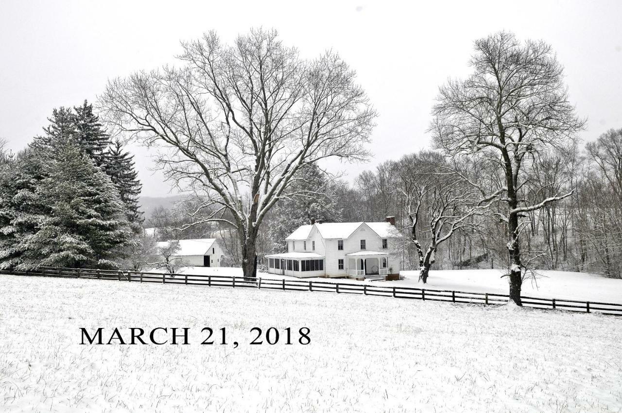 Villa Walnut Run Farm Woodville Exterior foto